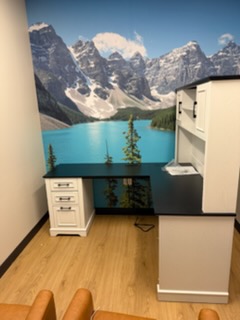 Small office room with mountain lake mural, desk, filing cabinet, and refrigerator